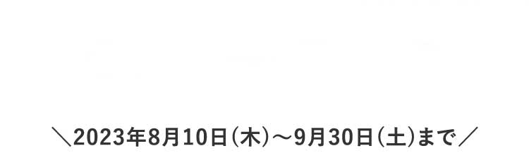 ファッションショーモデル案内5枚目