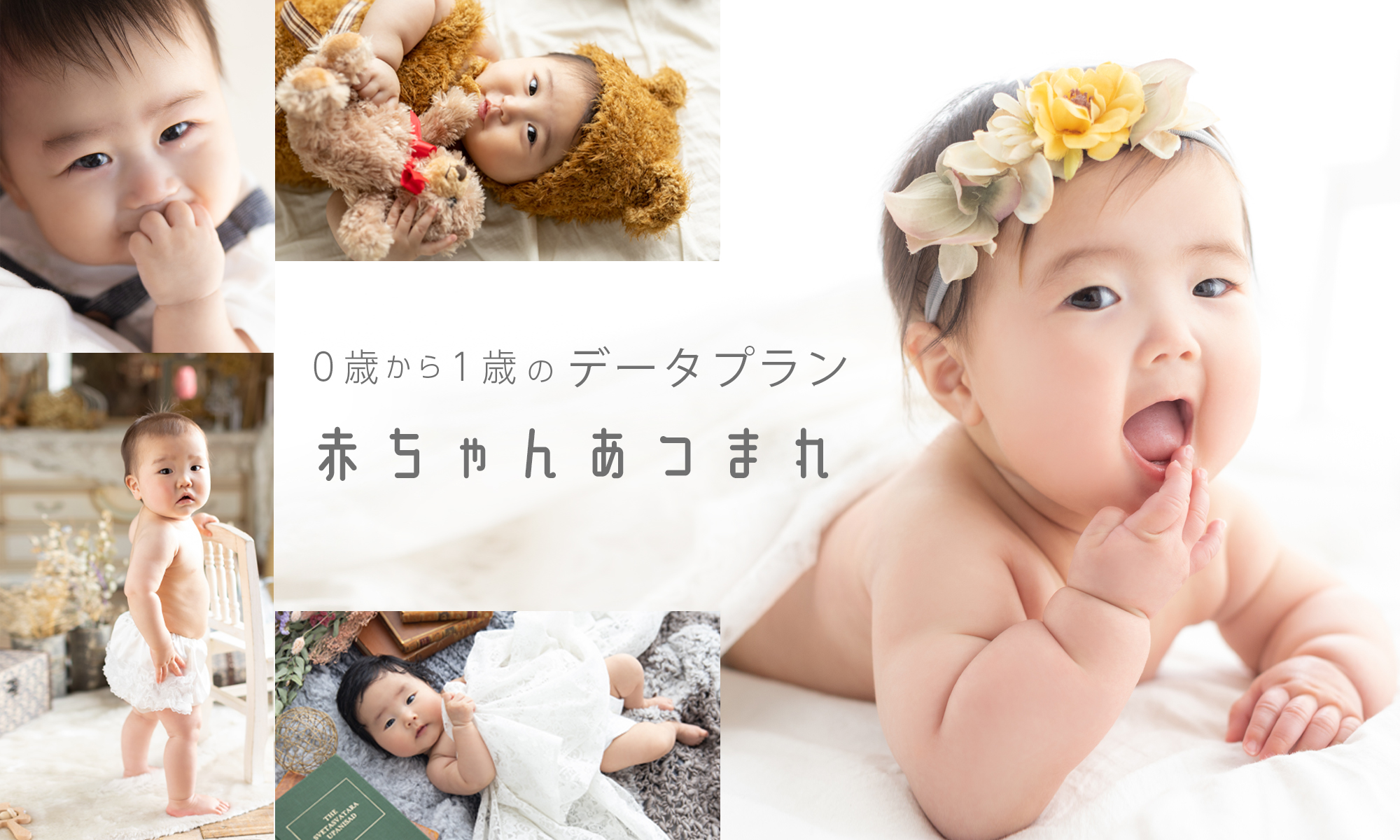赤ちゃんあつまれ